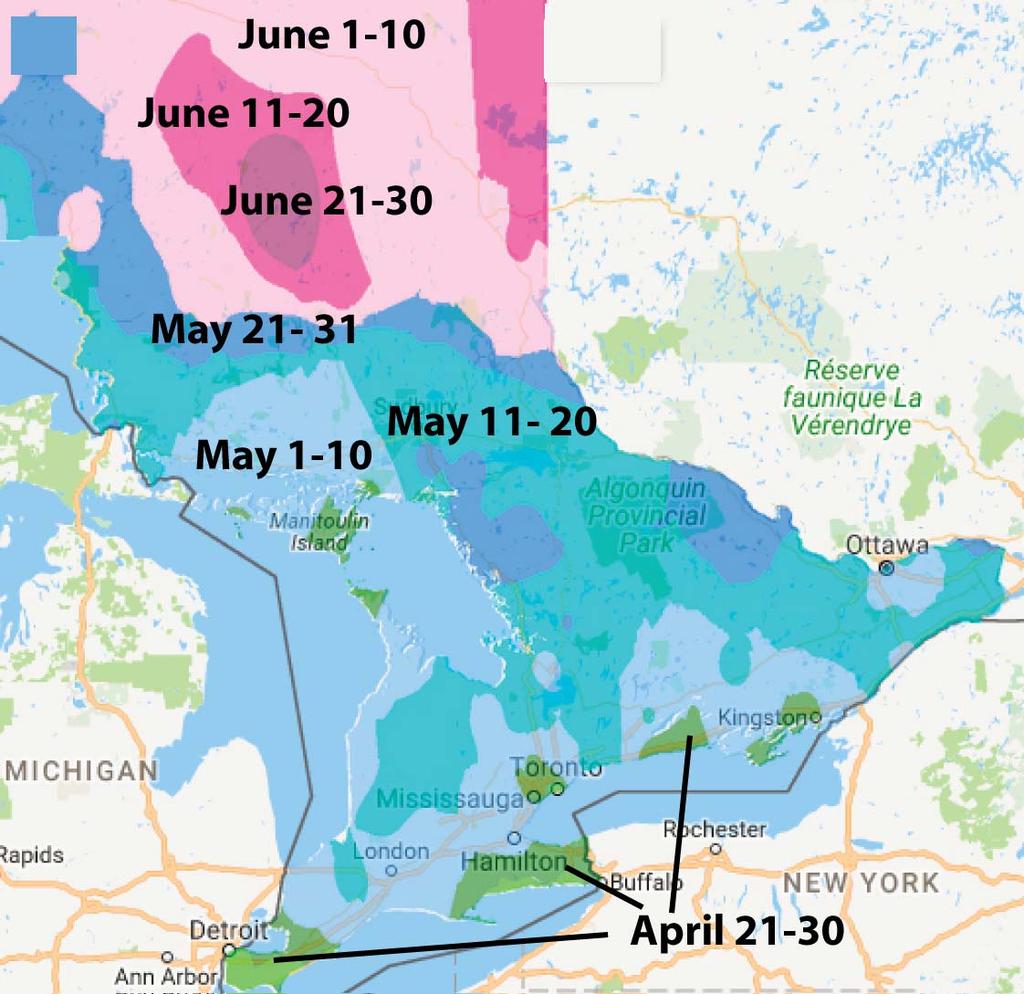 Ontario Average LAST Frost Dates http://www.