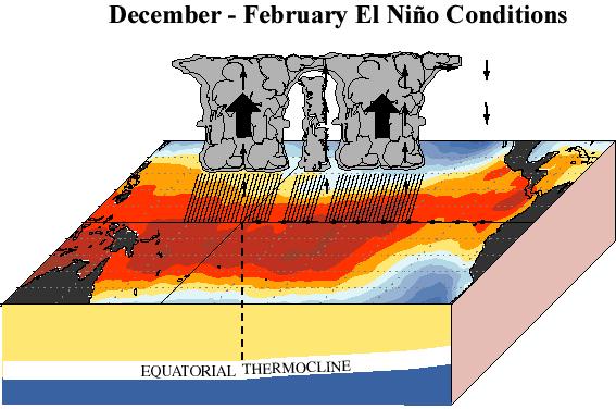 «PERTURBED» ATMOSPHERIC AND OCEANIC CONDITIONS OVER THE PACIFIC OCEAN El Niño : The low-level