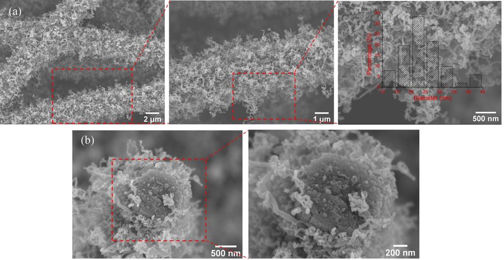 Fig. S5 a) SEM images of Co@NS/CNTs-MCF-900, and the inset shows the diameter