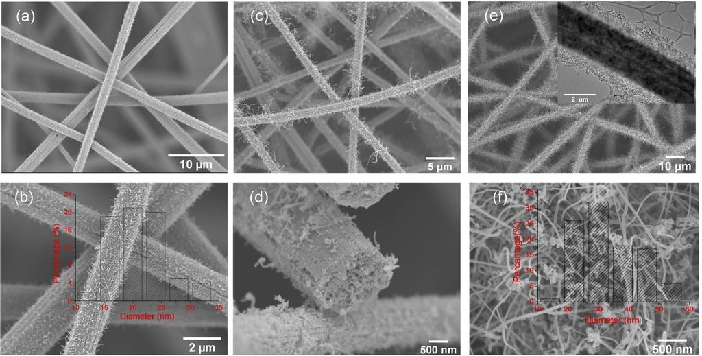 Fig. S7 a,b) SEM images of Co@NS/CNTs-MCF-700 carbon fibers and the inset shows the diameter distribution of CNTs; c) SEM image of Co@NS/CNTs-MCF-800 carbon fibers and d) the corresponding