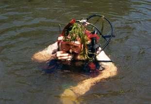 DIVING AS A TECHNIQUE TO CONTROL EXOTIC AQUATIC PLANTS: THE WEED CONTROL DIVER PROGRAM PREPARED BY: