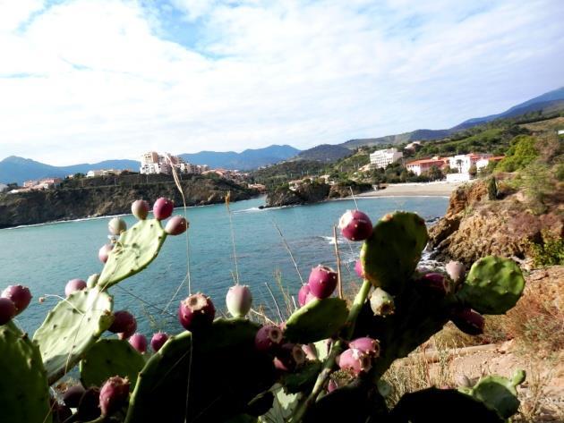 Comfortable hotel accommodation Use of public transport without any worries concerning the environment Strong points 2 nights in both Collioure and Cadaques to maximise comfort Alternating coast