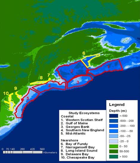 Houde orthwest Atlantic Coastal and Shelf Ecosystems Productive Coastal Zone Major Productive Estuaries