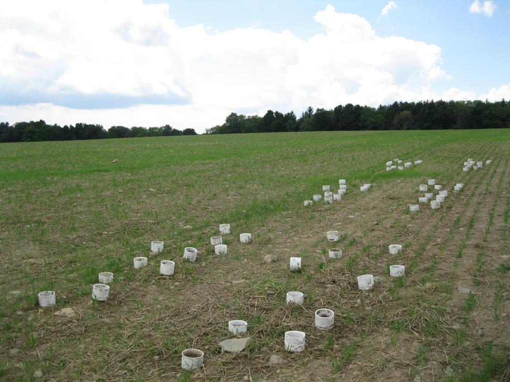 Acid whey infiltration studies were conducted at several locations in New York.