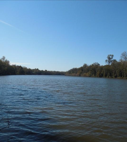 Game Dresser on Site Great Fishing on Old River Lake (Approximately 315 Acres) / LAKE LOT AVAILABLE!