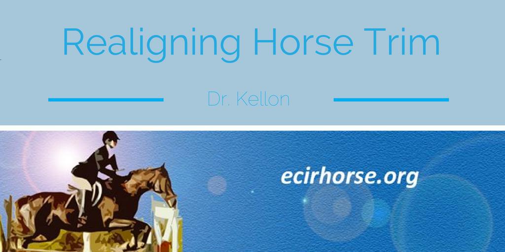 The Realigning Horse Hoof Trim Dr Kellon 1 Your horse has laminitis, maybe even foundered. How should the horse hoof trim be carried out? What is the best way for your horse to recover hoof health?