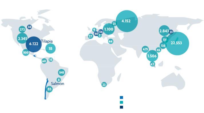 Commercialization : Global Presence and Reputation AquaChile has over 400 clients in more than 50 countries in the five continents Destination of