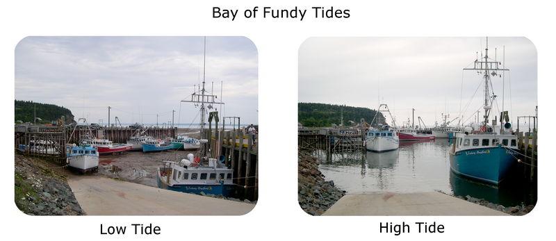 www.ck12.org Concept 1. Ocean Movements FIGURE 1.4 High tide (left) and low tide (right) at Bay of Fundy on the Gulf of Maine. The Bay of Fundy has the greatest tidal ranges on Earth at 38.4 feet.