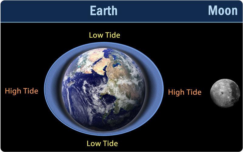 The lithosphere is unable to move much but the water is pulled by the gravity and a bulge is created. This bulge is the high tide beneath the Moon.