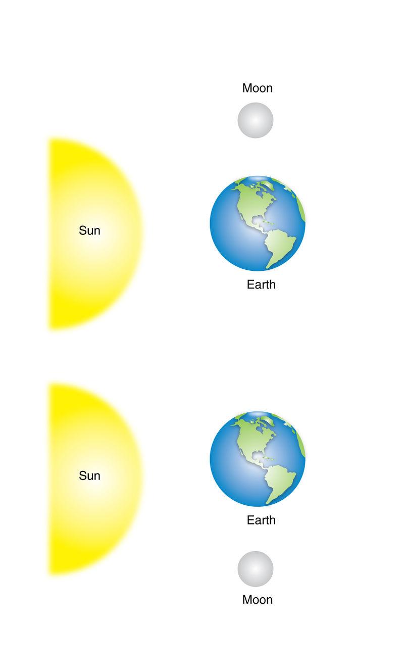 www.ck12.org Concept 1. Ocean Movements small. FIGURE 1.8 Neap tides occur when the Earth, the Sun, and the Moon form a right angle; the Moon is in its first or third quarter.