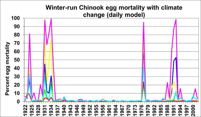 Future Risk to Winter-Run Chinook