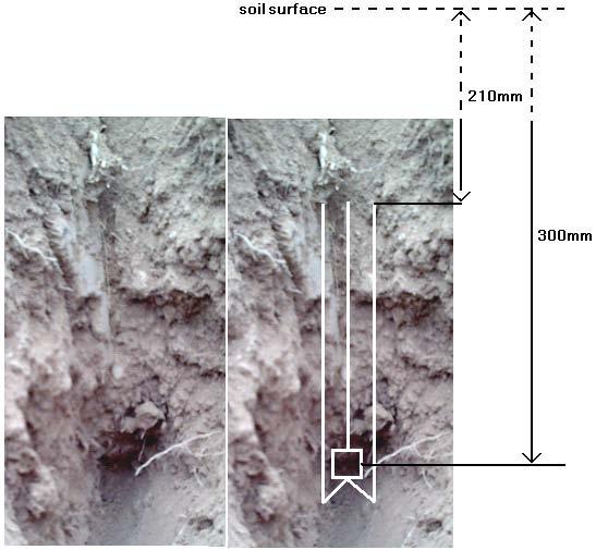 (a) (b) Figure 9. Photograph of developed channels with square cross-sectional area for the sensor with the shank width of 36 mm that operated at depth of 300 mm with a) WC=7.6% and b) WC=17.