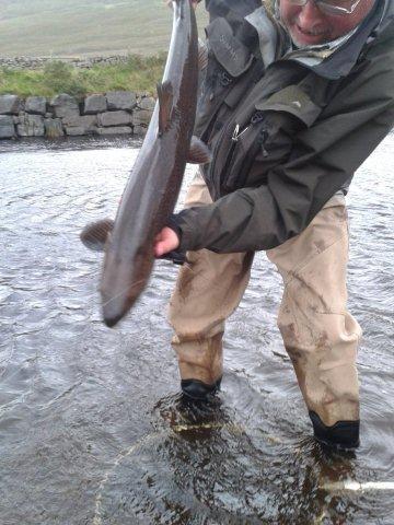 The quality of the fish that run these relatively small rivers is illustrated to by the photograph below showing Mount Falcon regular Martin Davison with a fish caught in September.