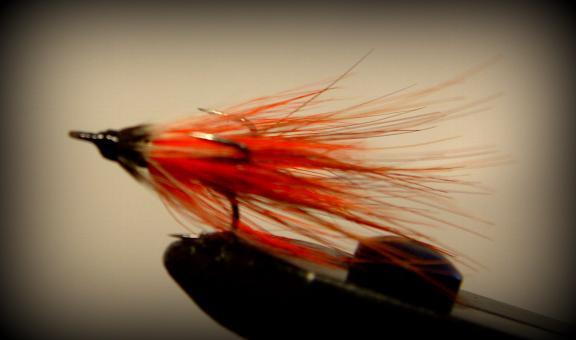 Flies traditional Irish Shrimp flies such as the Orange and Gold, Curries Red, Coolraw Killer are effective on both waters.