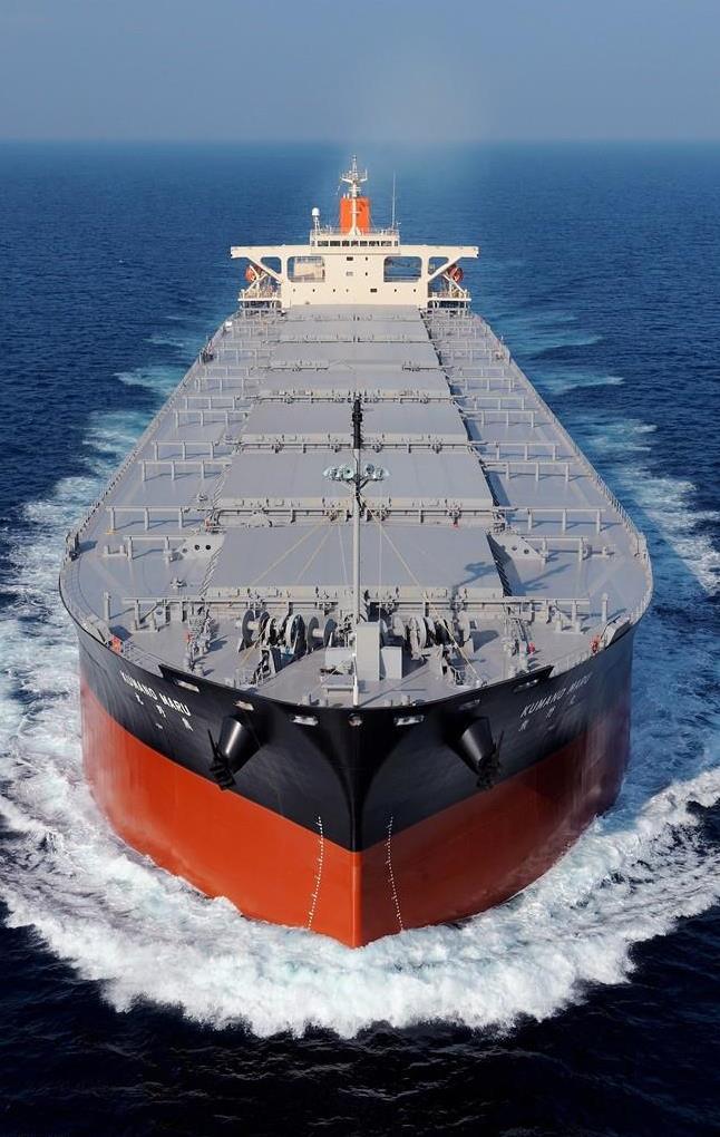 Non-compliant vessel: Action Example: Bulk carrier vessel Calling 5 ports loading logs Total 20 days in NZT High risk and cannot produce evidence of continual maintenance ACTION Notice of Direction