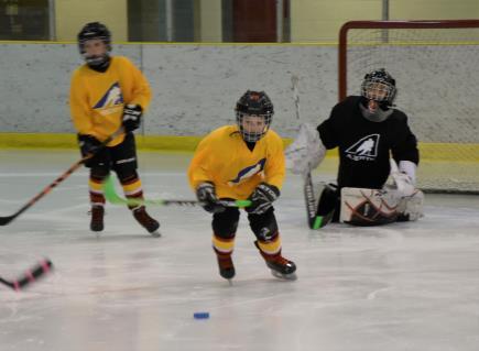 5. What are the advantages of practicing in small areas and playing half-ice games? Small spaces equate to more engaged in the play and activity for young players.