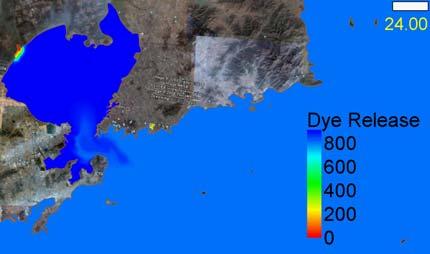 Dye Release Spatial distribution of