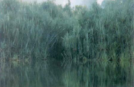 LAKE TASEK BERA Peat swamp (Black