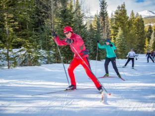 These are described in more detail in the Cross Country Maneuvers section. Poling is adjusted to the skier s speed and to the terrain. In cross country skiing poles are not for balance, but for push!