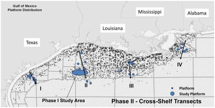 E.g., Northern Gulf of Mexico Over 3,000 oil/ gas platforms providing hard substratum where only sandy muds with low habitat diversity existed prior to the 1940s Connectivity of native and non-native