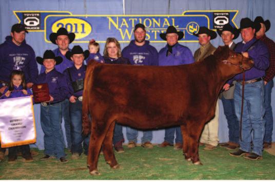A $35,000 Bayberry 704T son, Red Triple L Endorse 20C, recently sired the Champion heifer calf at the long standing Canadian Red Round Up 2017.