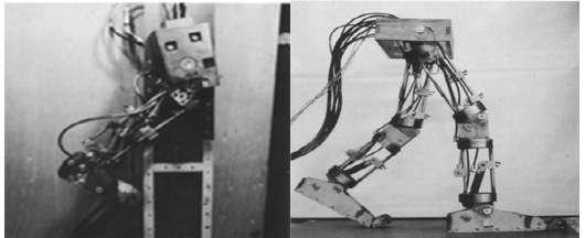 2.1.1 Background of Bipedal Robots In 1967 the study on artificial hands and arms began which incorporated the technological strength gained by developing active prosthesis that started three years