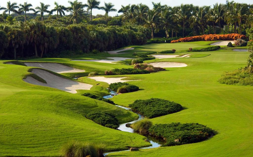 Inspired by many of the award-winning Trump courses and properties, the pearl at the heart of AKOYA by DAMAC is Trump International Golf Club, Dubai, a masterfully designed world-class golf club.
