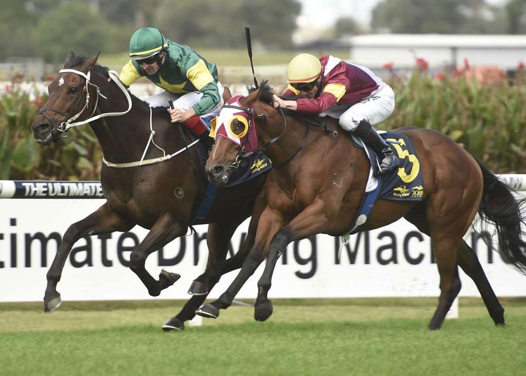 Lady Le Fay, Via Napoli and Rodrico followed this success up with thier wins on Anzac Day and Tsaritsa completed the sextet on Wednesday and looks an exciting filly for the future.