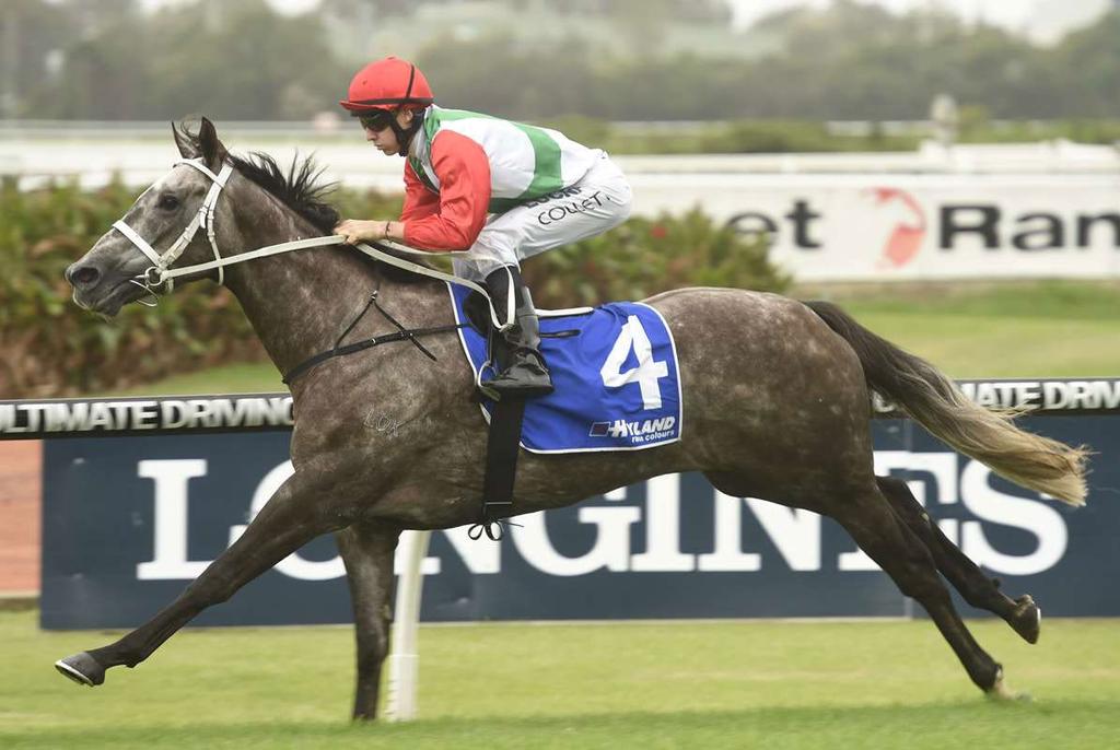 CHRIS WALLER RACING - WINNERS THIS WEEK murphy s delight 6yo G Hurricane Run - Akoya by Anabaa This CWR import returned to the winner s enclosure at Rosehill on Saturday when winning over 2400m under