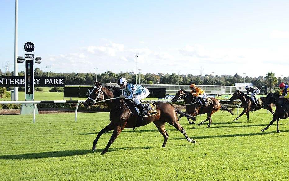tsaritsa 3yo F Dane Shadow - Xaar s Jewel by Xaar This promising daughter of Dane Shadow scored an impressive first-up win at Canterbury on Wednesday over 1200m.
