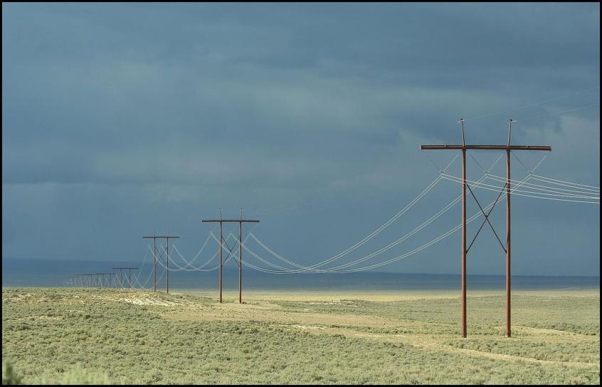 Ongoing Research Activities Sedinger, Blomberg, Atamian and Nonne Assessing effects of utility scale transmission line in Eureka County, NV.