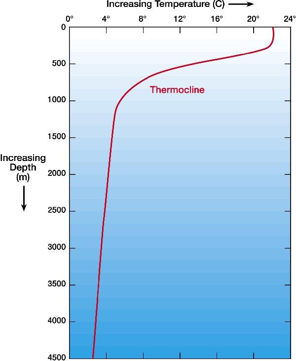 thermocline 50-1000 m deep ocean below stably
