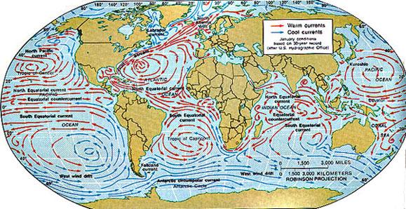 wind-driven ocean circulation winds + basins = gyres horizontal