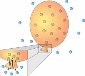 4.2 Explore You can think of air pressure in terms of collisions of particles. When the particles strike the inside of the balloon, they exert a force on the balloon s walls.