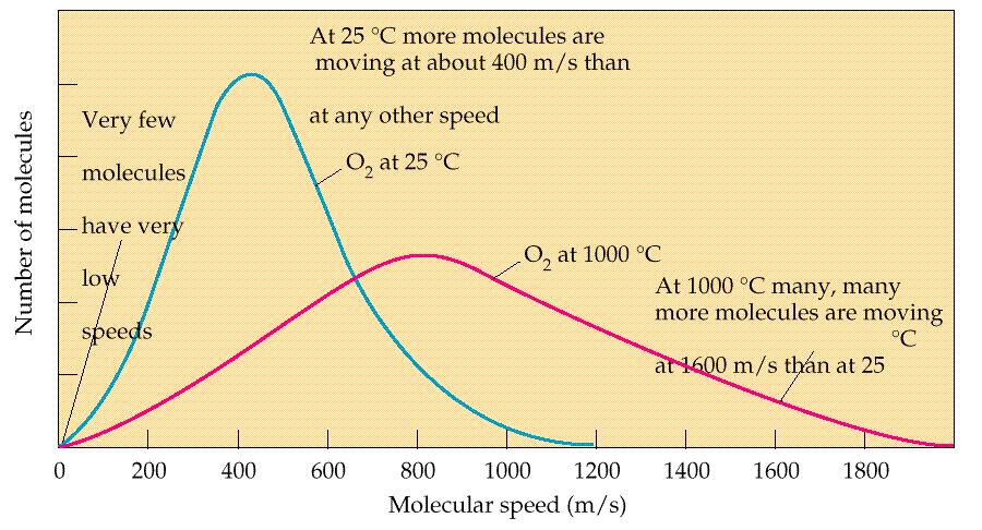 Kinetic Molecular Theory of Gases 5.