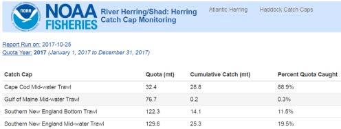 Herring, Haddock, and RH/S Sub-ACLs and AMs Strengths Prevents overharvest (overage paybacks) Catch reporting is (usually) sufficient to monitor ACLs and catch caps Informative GARFO website to