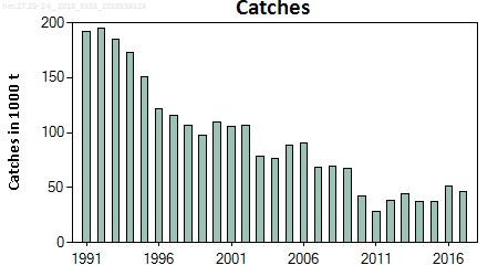 applied, there should be zero catch in 2019. This advice applies to the catch of western Baltic spring spawning herring (WBSS) in subdivisions 20 24 and the eastern part of Subarea 4.