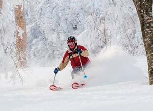 recommendations for the various ski areas,