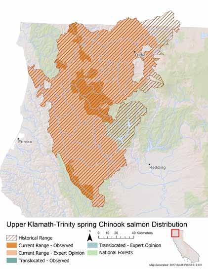 METRIC SCORE JUSTIFICATION Area occupied 2 Only Salmon River and South Fork Trinity River support wild, self-sustaining populations.