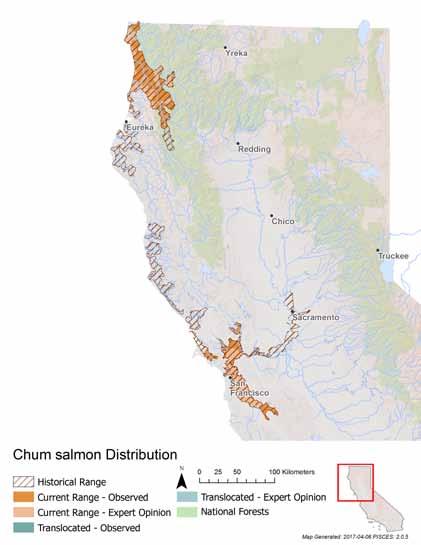 METRIC SCORE JUSTIFICATION Area occupied 2 If Chum salmon are still maintaining populations in California, there are only 2-3 in the Smith, Klamath, and Trinity rivers.