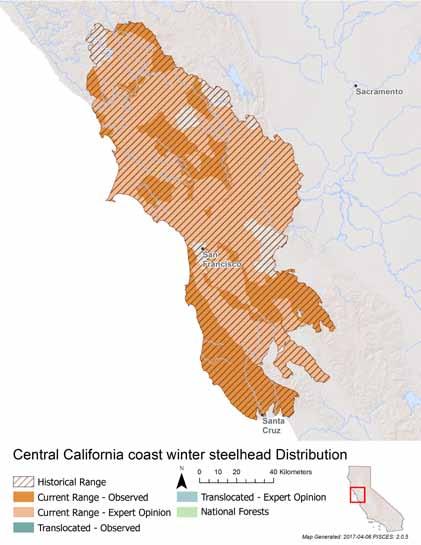 METRIC SCORE JUSTIFICATION Area occupied 2 Multiple watersheds occupied in California but very few viable populations still exist.