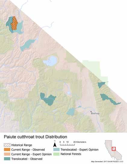 METRIC SCORE JUSTIFICATION Area occupied 2 Occupies several watersheds, but connectivity between headwater populations has recently been established on Silver King Creek.