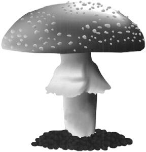 ( ) Some fungi can make you to make penicillin. ( ) People eat food than a soccer field.