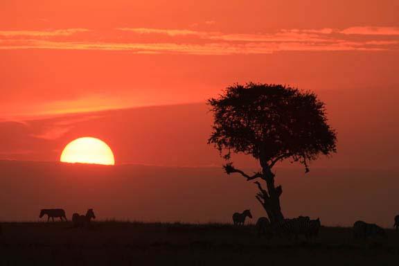 Another Evening In Africa Our African photo safaris are the trip of a lifetime! I am so thankful to have been born and grown up in East Africa.