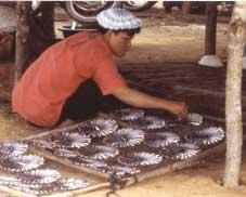 Inland fisheries contributes approximately 200 000 metric tonnes per year, which is less than 6% (in 1999) of the total production of fish (Table 1).