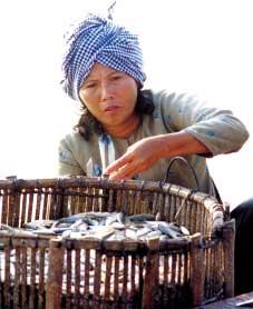 THEMATIC REPORT Casual observation indicates that women play an integral role in inland fisheries.