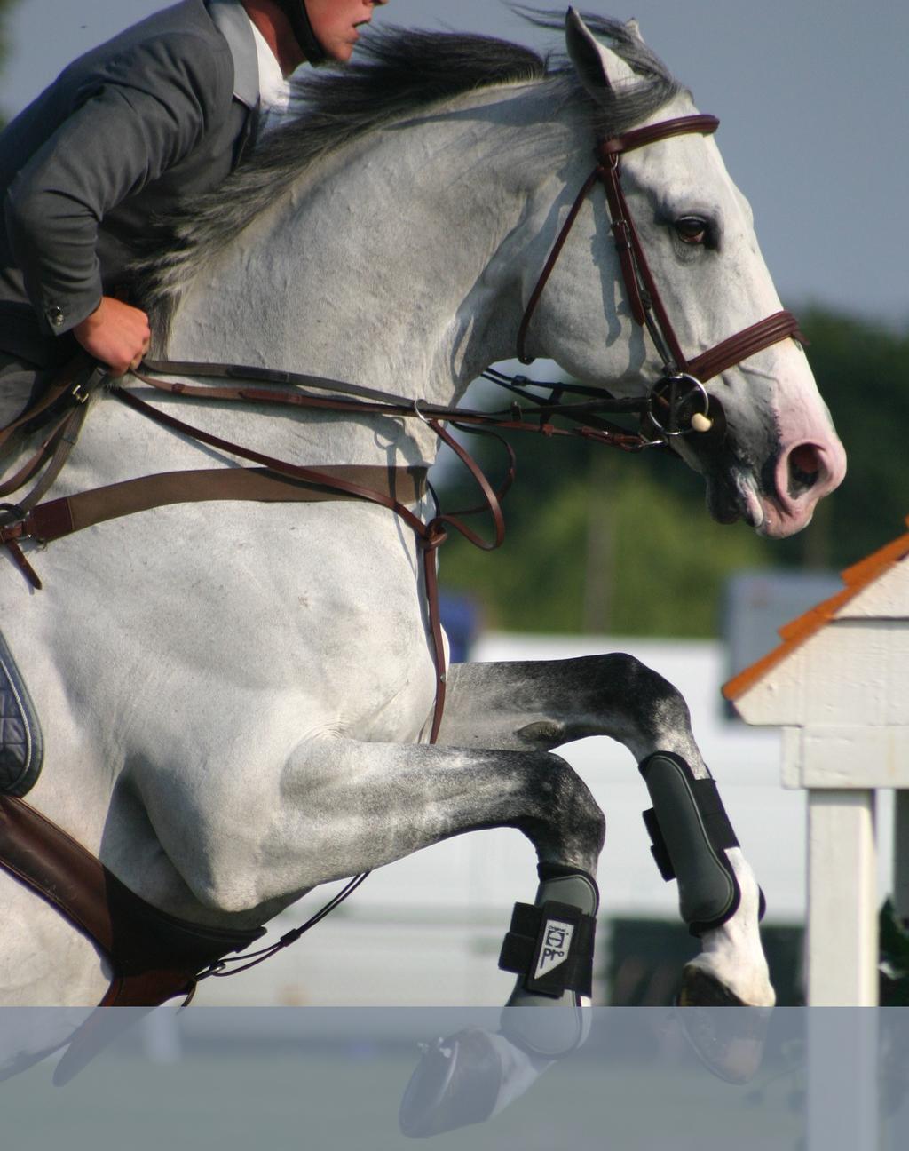 OHIO STATE UNIVERSITY EXTENSION PAS HORSE SHOW OPEN TO YOUTH FROM ALL COUNTIES!