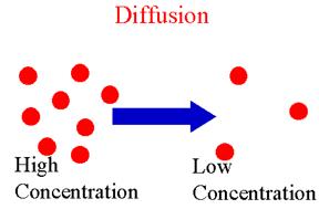 NH3 +HCl Diffusion Movie Let gas 1 be H 2 and gas 2 be O 2.