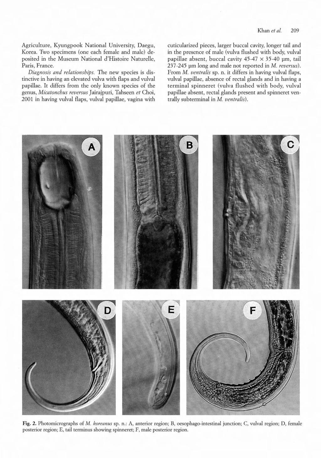 Khan et al. 209 Agriculture, Kyungpook National University, Daegu, Korea. Two specimens (one each fernale and male) deposited in the Museum National d'histoire Naturelle, Paris, France.