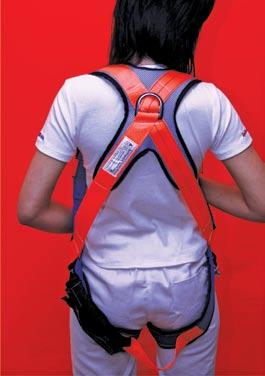Type Horizontal leg straps Adjustable shoulder straps Adjustable waist and leg straps Dorsal fall